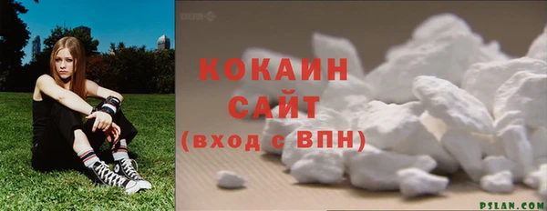 шишки Нея