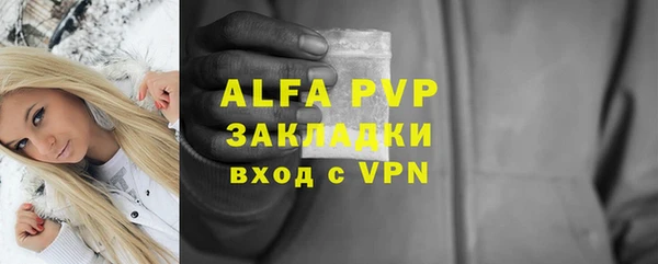 шишки Нея