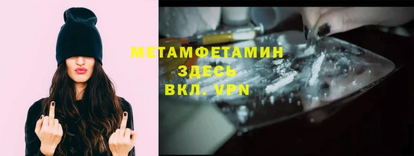 шишки Нея