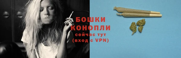 шишки Нея