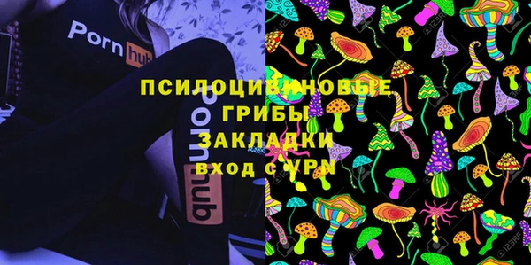 шишки Нея