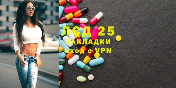 шишки Нея
