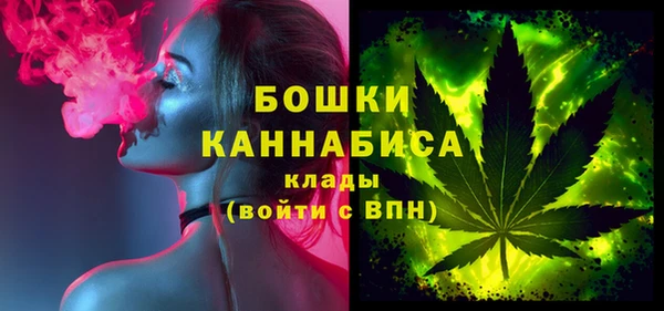 шишки Нея